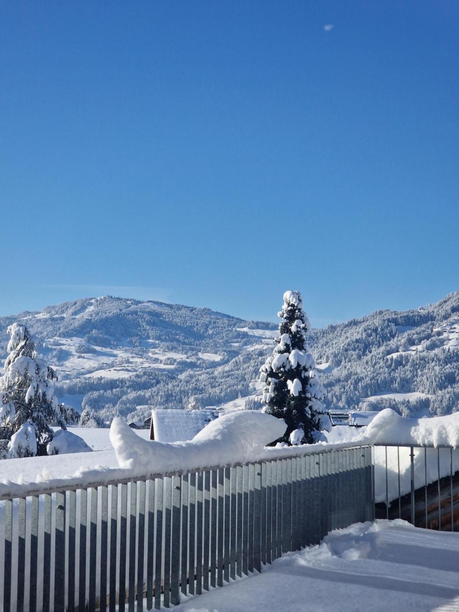 Familienhotel Adler Lingenau Extérieur photo